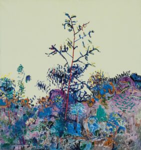 Fred Williams Acacia Saplings